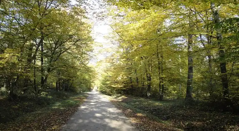 Casa de vacaciones en Oison