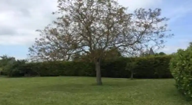 Casa de vacaciones en Oison