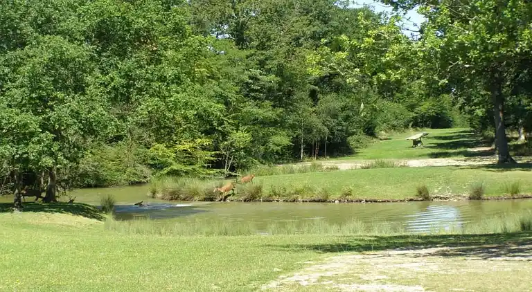 Casa de vacaciones en Oison