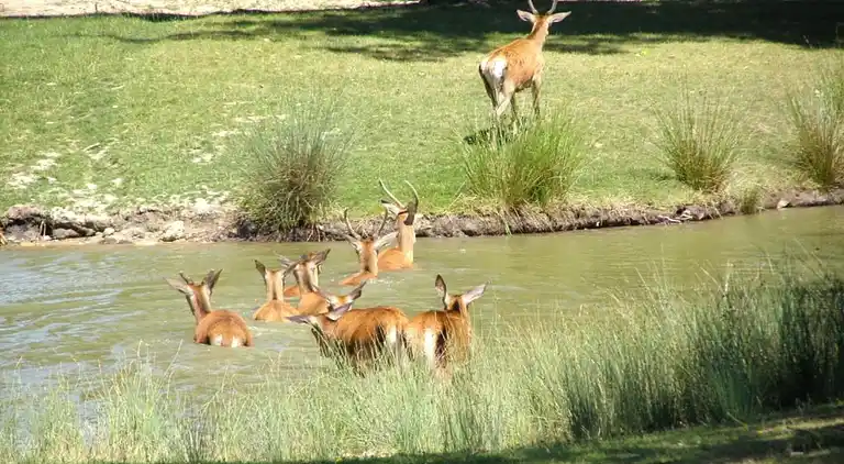 Casa de vacaciones en Oison