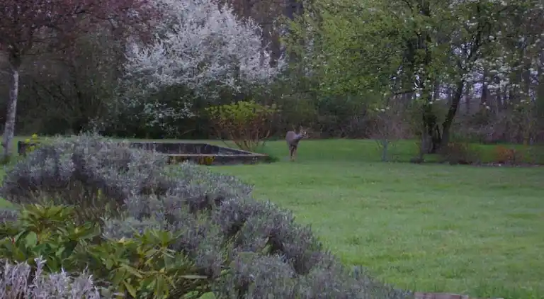 Casa de vacaciones en Oison