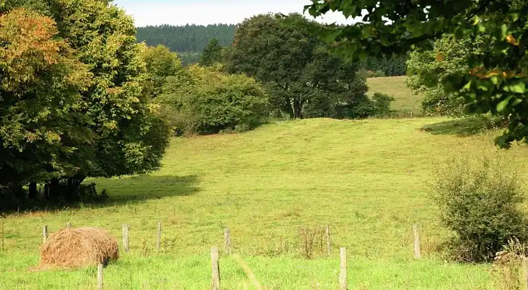 Holiday home in Falaën