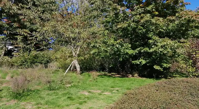 Holiday home in Falaën