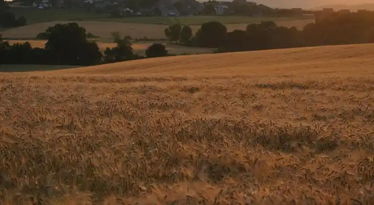 Holiday home in Falaën