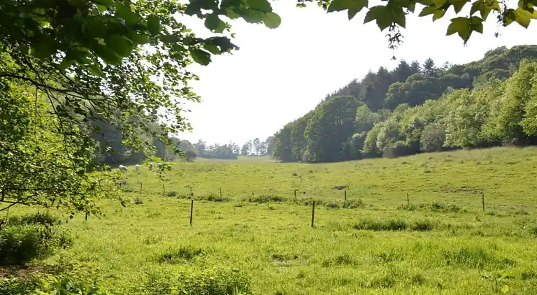 Holiday home in Falaën