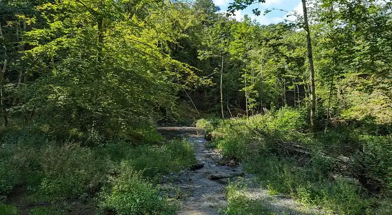 Holiday home in Bellefontaine