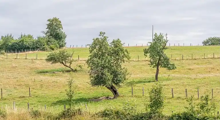 Holiday home in Bellefontaine