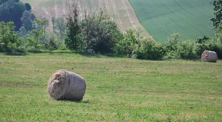 Gårdhus i Umbertide