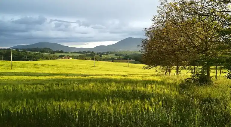 Gårdhus i Umbertide