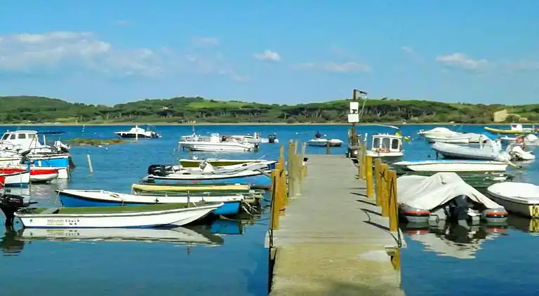 Farm house in Suvereto