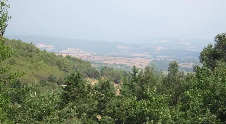 Gårdshus i Suvereto