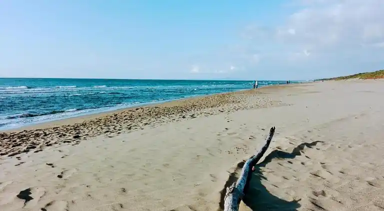 Gårdshus i Suvereto