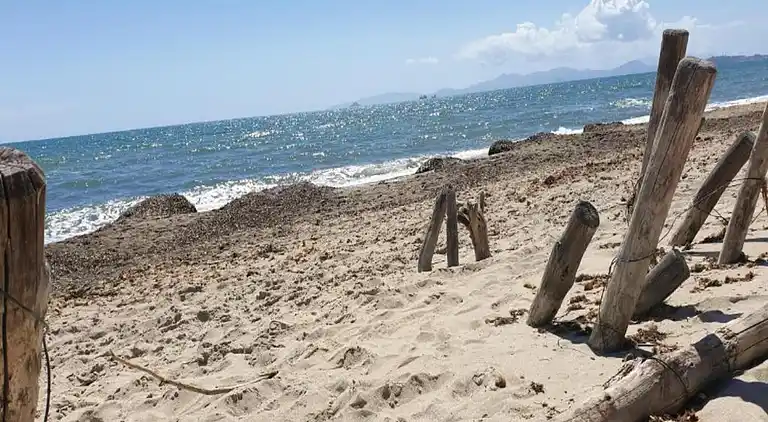 Farm house in Suvereto