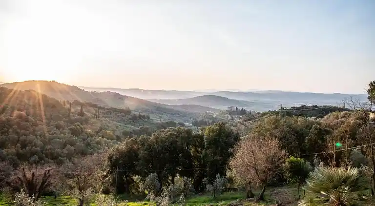 Gårdshus i Suvereto