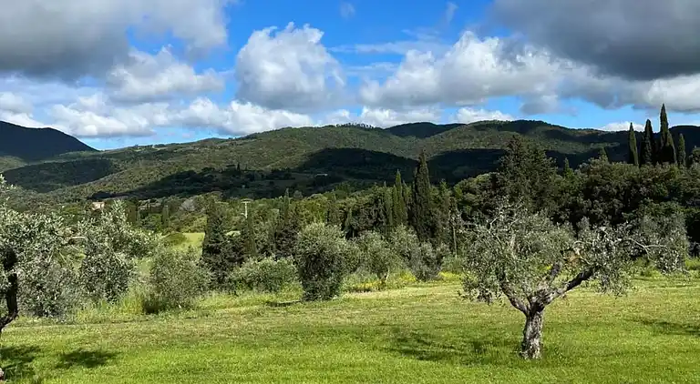 Gårdshus i Suvereto