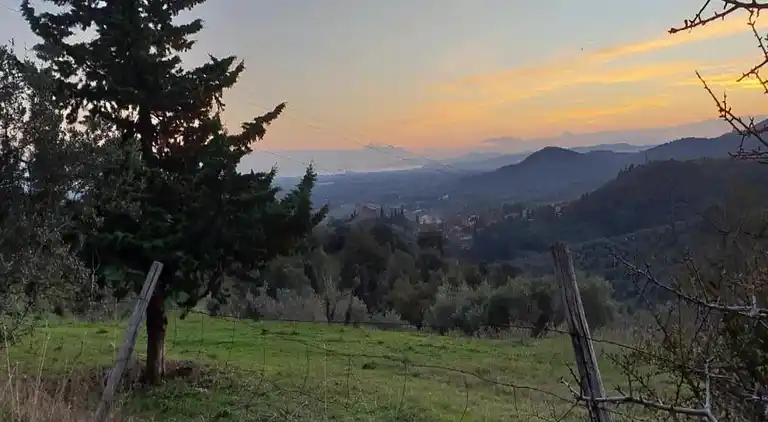 Farm house in Suvereto