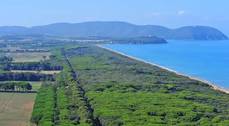 Gårdshus i Suvereto