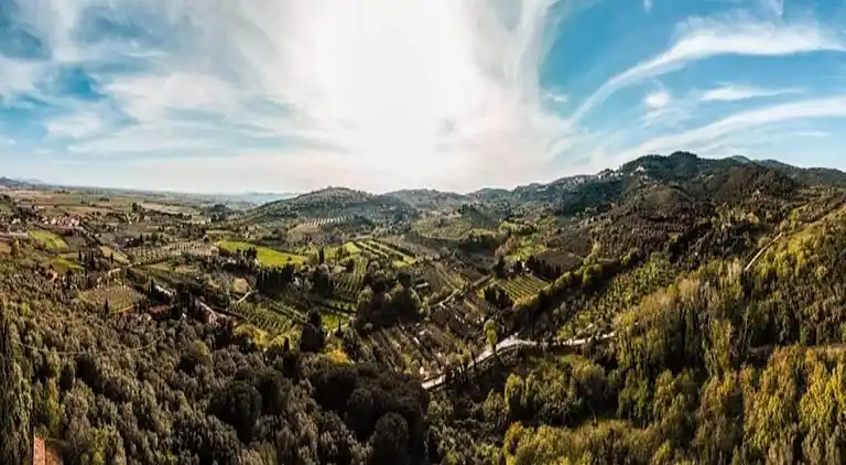 Farm house in Suvereto
