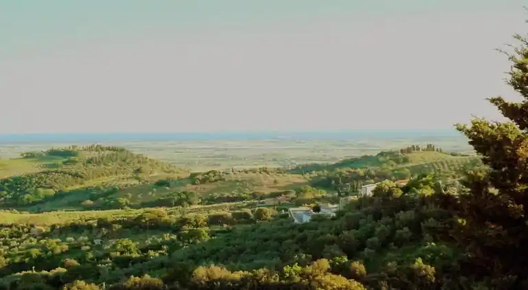 Gårdshus i Suvereto