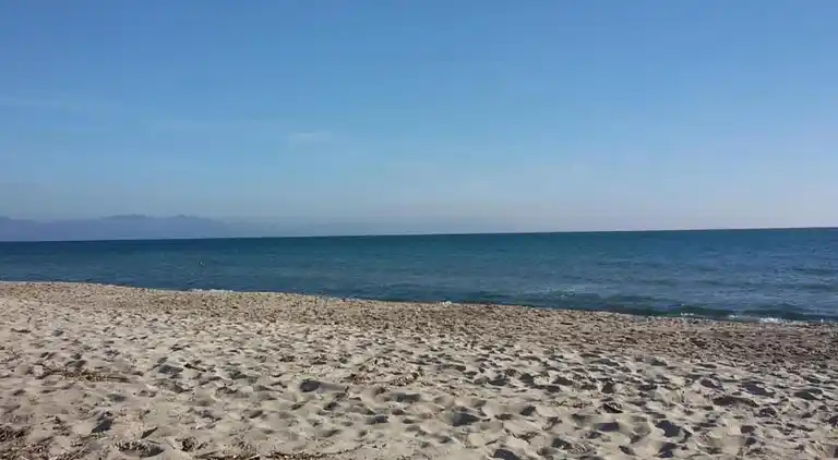 Farm house in Suvereto