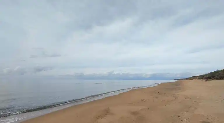 Farm house in Suvereto