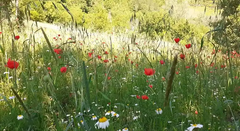 Semesterbostad i Valtopina