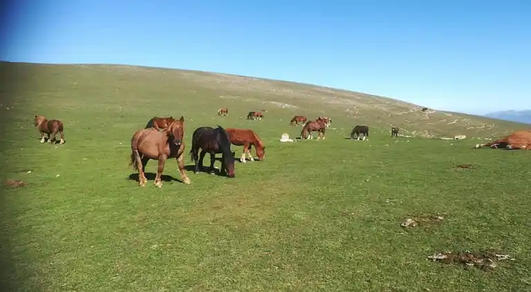 Semesterbostad i Valtopina