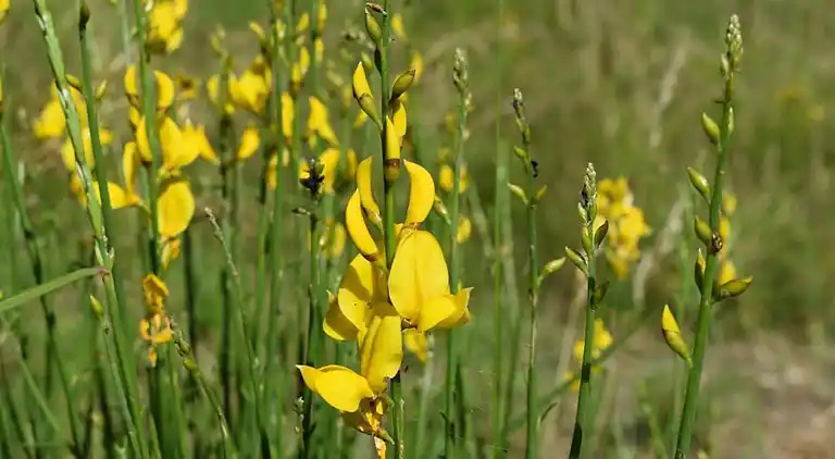 Semesterbostad i Valtopina