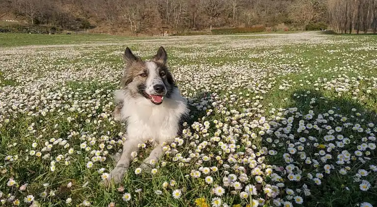 Semesterbostad i Valtopina