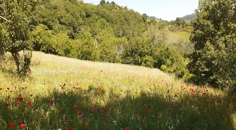Farm house in Giano dell'Umbria