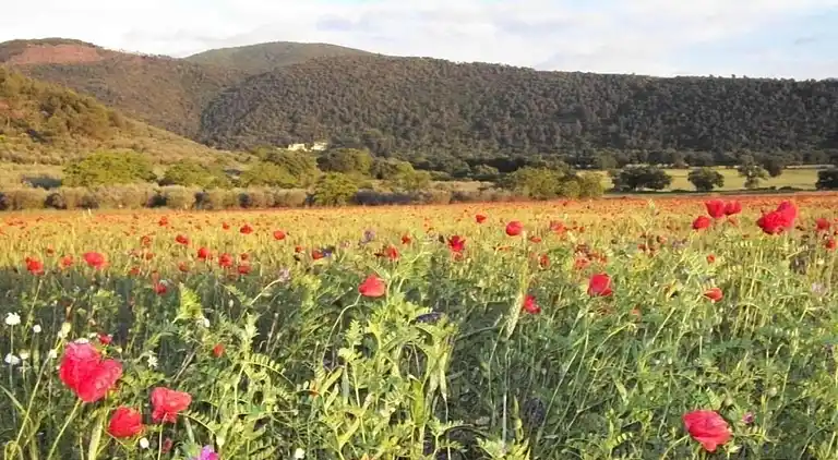 Holiday home in Europe