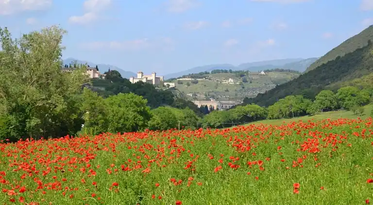 Holiday home in Europe