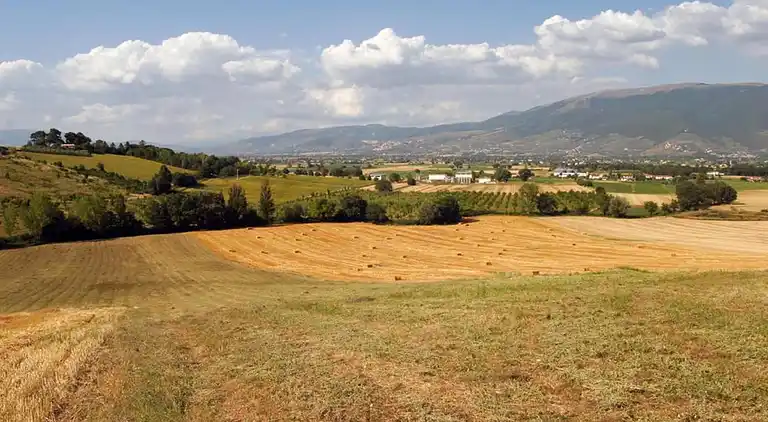 Holiday home in Europe