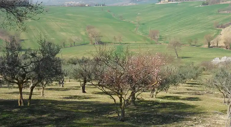 Holiday home in Europe