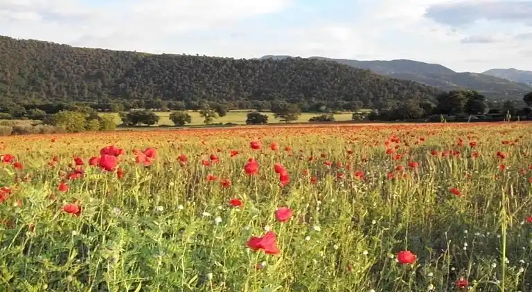 Holiday home in Europe