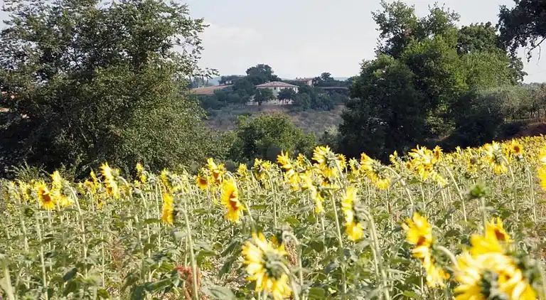 Holiday home in Europe