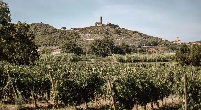 Farm house in Castiglion Fiorentino