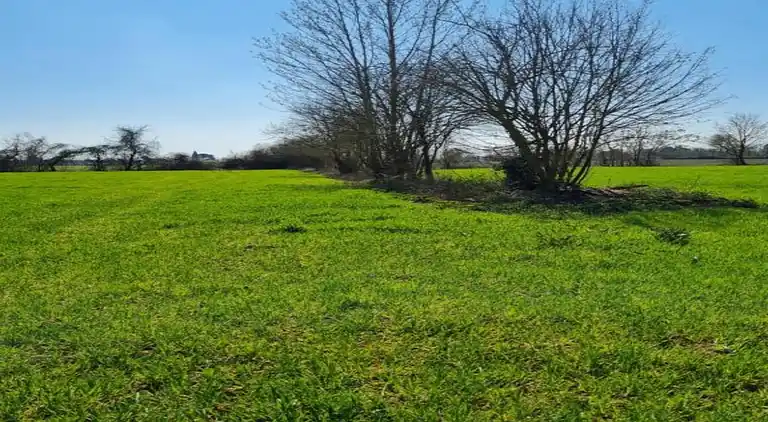 Farm house in Castiglion Fiorentino