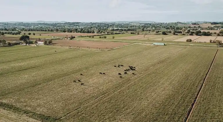 Farm house in Castiglion Fiorentino