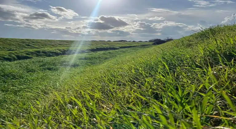 Farm house in Castiglion Fiorentino