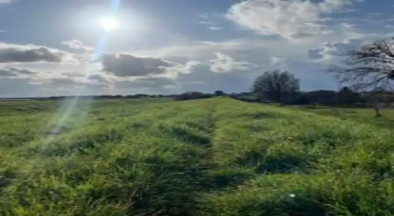 Farm house in Castiglion Fiorentino