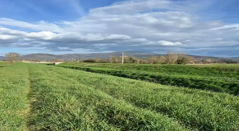 Farm house in Castiglion Fiorentino