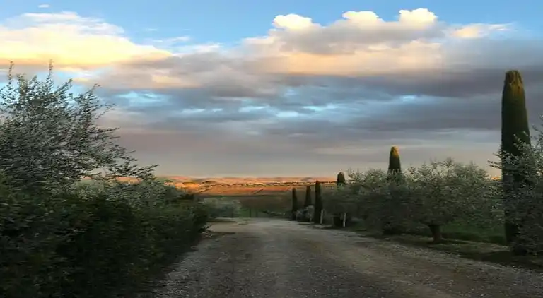 Manor house in Cortona