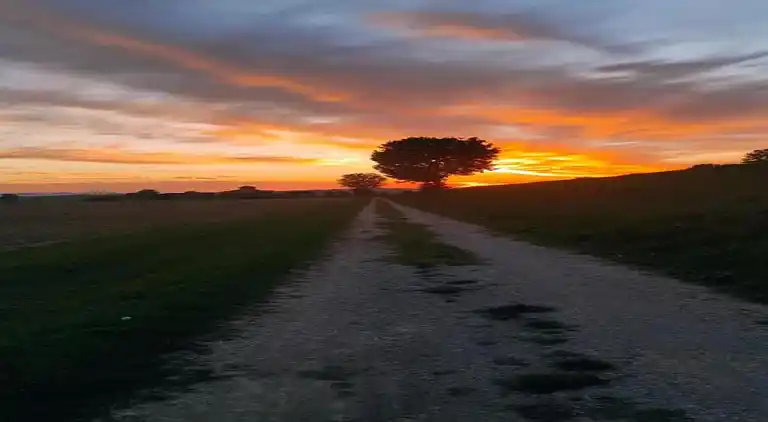 Manor house in Cortona