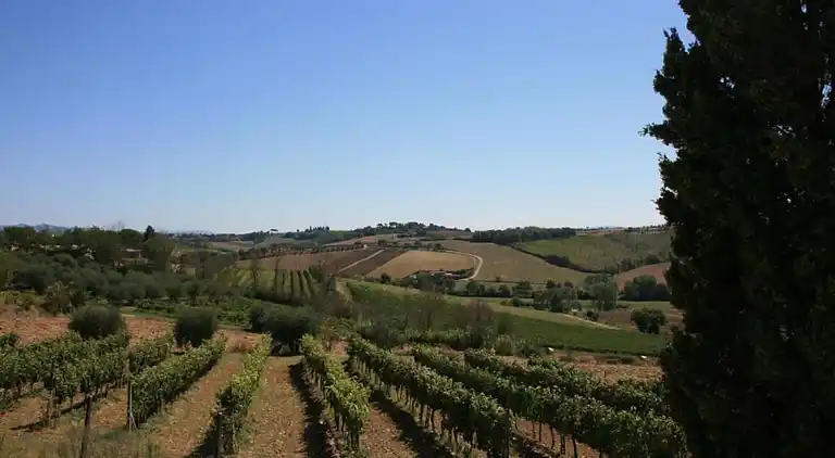 Manor house in Cortona