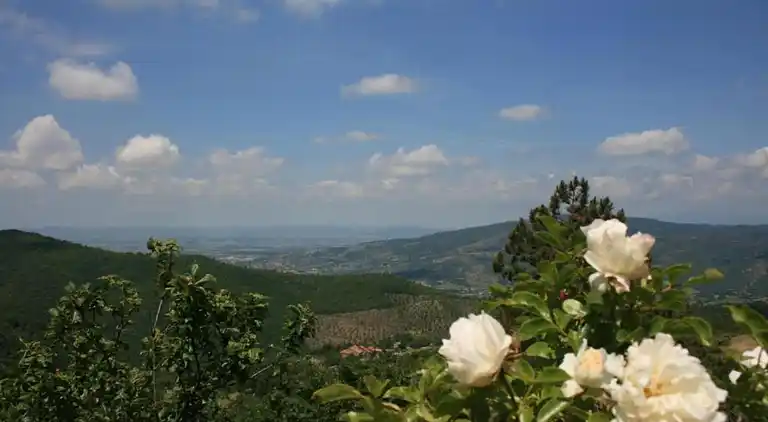 Manor house in Cortona