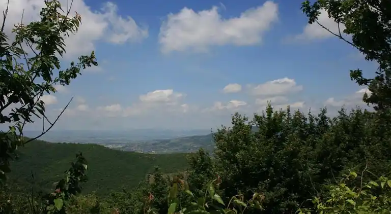 Manor house in Cortona