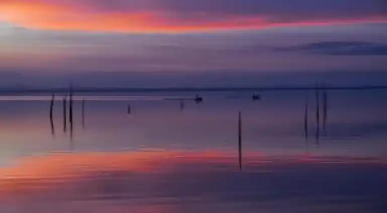 Feriebolig i Foiano della Chiana