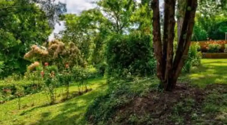 Feriebolig i Foiano della Chiana