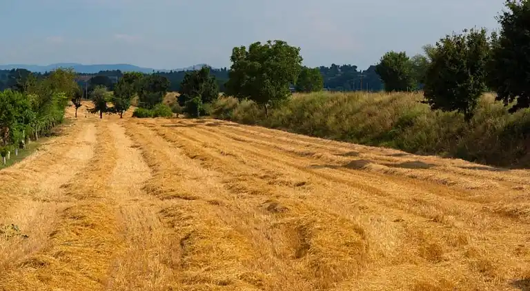 Feriebolig i Foiano della Chiana